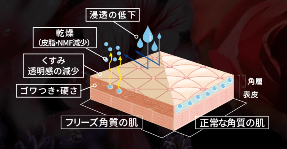 アテニアのスキンクレンジングオイルが加齢や乾燥により蓄積された「フリーズ角質」をケアする機能をもっていることを説明する画像