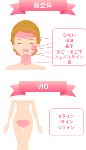 顔 VIOの対象部位の画像